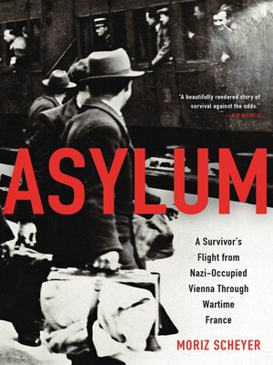 Asylum - ebook